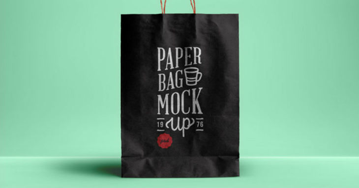Elegant Free Paper Bag Mockup